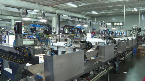 袋裝螺螄粉 包裝機(jī)器人 上線